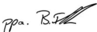 METABO SB 18 LTX Quick - 2