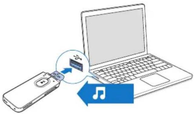 PHILIPS GoGear SA5MXX04PF - Transfert de musique sur le lecteur - 1