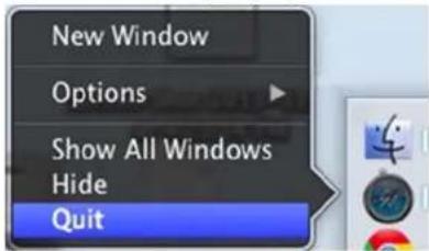 New Window Options Show All Windows Hide Quit