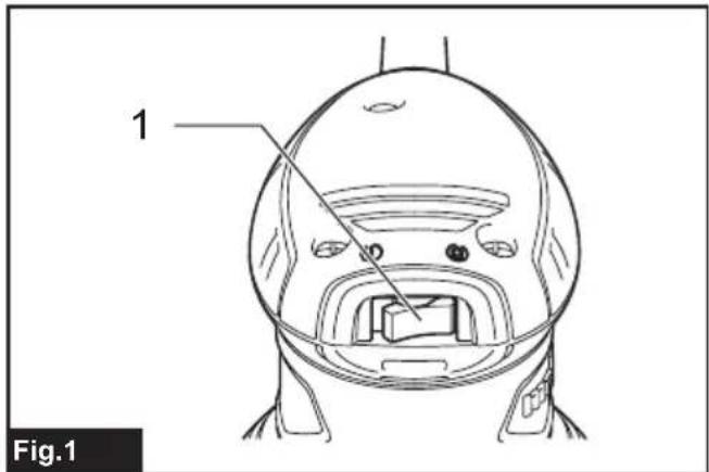 1 Fig.1