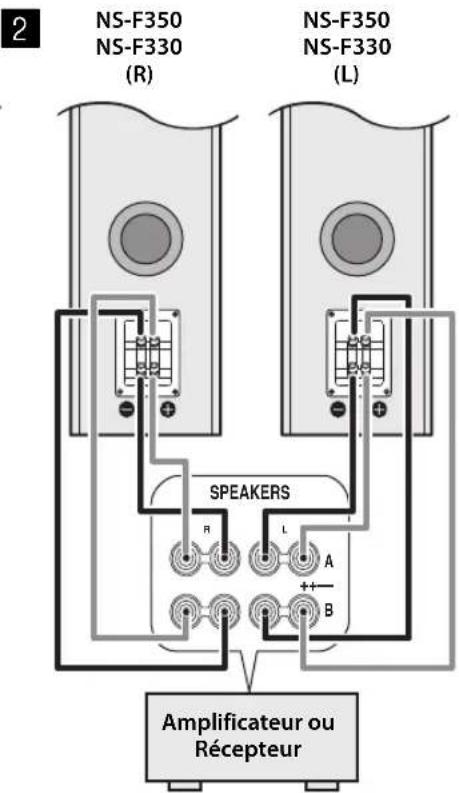 2 NS-F350 NS-F330 (R) NS-F350 NS-F330 (L) SPEAKERS R L A + B Amplificateur ou Récepteur
