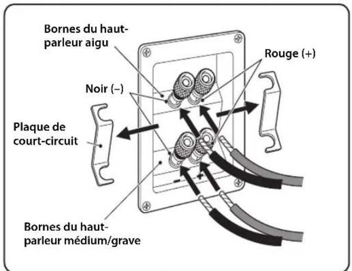 Bornes du haut- parleur aigu Noir (–) Plaque de court-circuit Bourne (+) Bornes du haut- parleur médium/grave