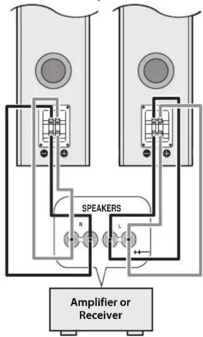 SPEAKERS Amplifier or Receiver