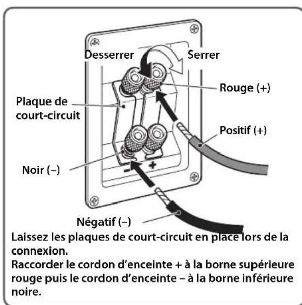 Desserrer Serrer Plaque de court-circuit Rouge (+) Positif (+) Noir (−) Négatif (−) Laissez les plaques de court-circuit en place lors de la connexion. Raccorder le cordon d'enceinte + à la borne supérieure rouge puis le cordon d'enceinte – à la borne inférieure noire.