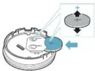 Diagram illustrating a mechanical or electrical setup with labeled components and directional arrows, including a magnified inset showing positive and negative charges.