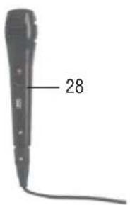 28