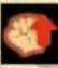Namco Bandai Games Naruto Shippuden: Ultimate Ninja Storm 4 - Deluxe Edition - Status Effect Icons - 1