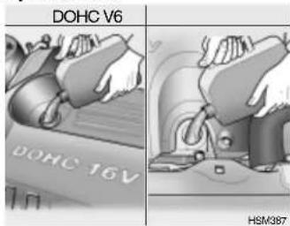 DOHC V6 DOHC 16V HSM387