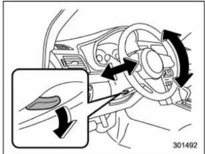 SUBARU Legacy (2012) - DANGER - 1