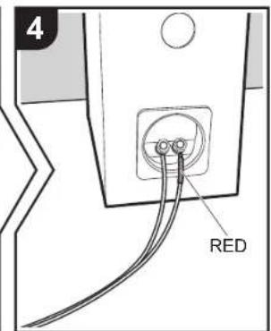 4 RED