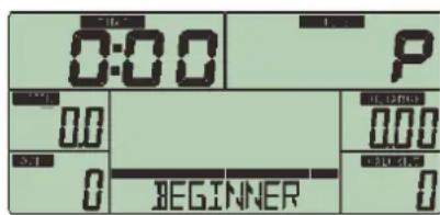 0:00 P 0.0 0.1 0 BEGINNER 0