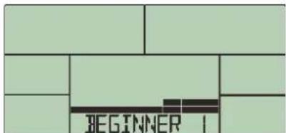 BEGINNER 1