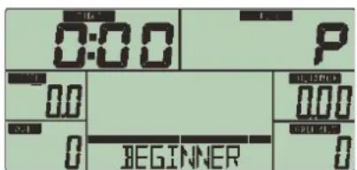 0:00 P 1 00 0.1 0 BEGINNER 0 000 000 000