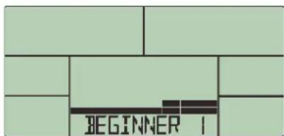 BEGINNER