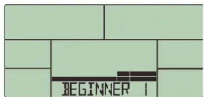 BEGINNER 1