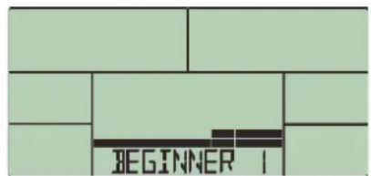 BEGINNER