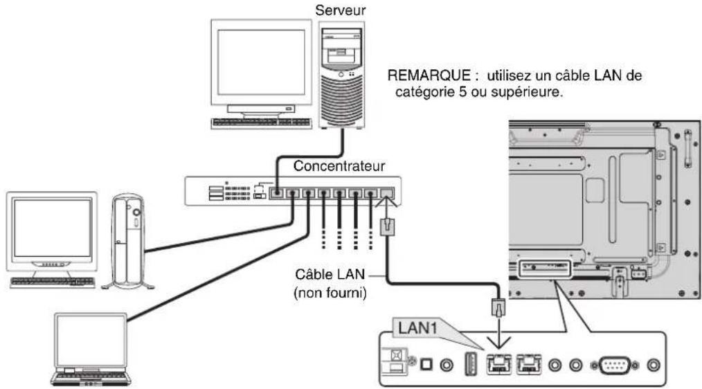 NEC MultiSync X554HB - Exemple de connexion LAN : - 1