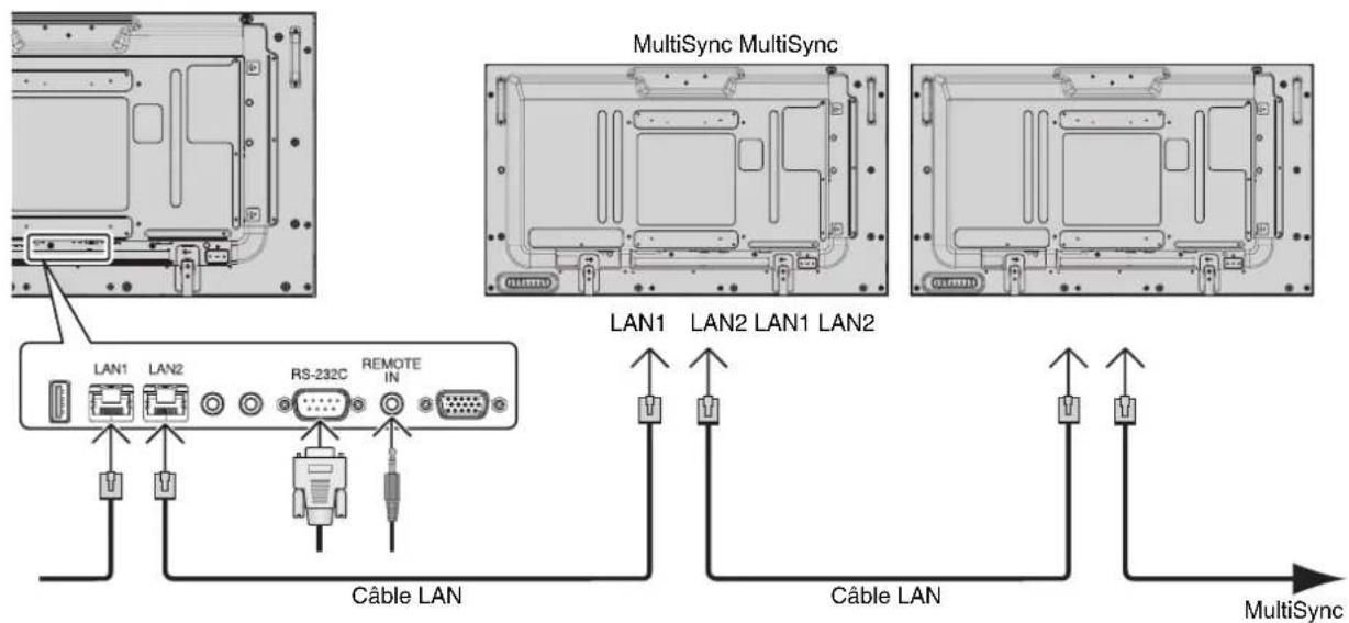 MultiSync MultiSync LAN1 LAN2 LAN1 LAN2 LAN1 LAN2 LAN1 LAN2 RS-232C REMOTE IN Câble LAN Câble LAN MultiSync