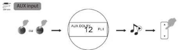 graph LR A["AUX input"] --> B["ou"] B --> C["AUX DOLBY PLII"] C --> D["输出"]