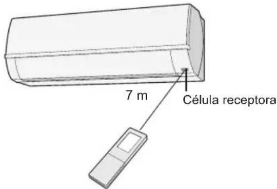 7 m Célula receptora
