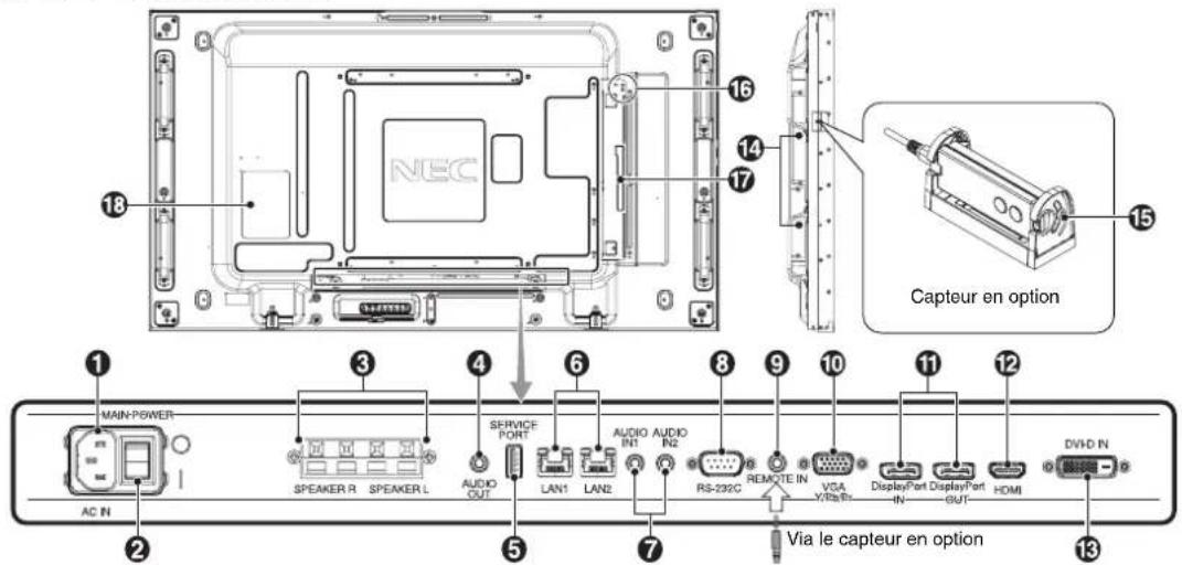 NEC Capteur en option MAIN-POWER AC IN SPEAKER R SPEAKER L AUDIO OUT SERVICE PORT LAN1 LAN2 AUDIO AUDIO IN1 RS-232C REMOTE IN VGA Y/RaIn DisplayPort DisplayPort IN HOMI DVD IN Via le capteur en option