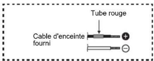Tube rouge Cable d'enceinte fourni