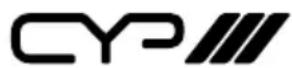 CYP AU-D5D - ACRONYMS - 1