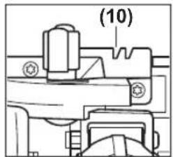 (10)