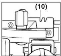 (10)