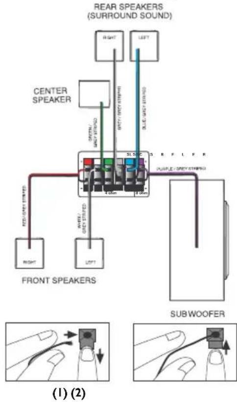 REAR SPEAKERS (SURROUND SOUND) RIGHT LEFT CENTER SPEAKER GREEN/ GRAY STRONG WHITE/GRAY STRONG BLUE/GREEN STRONG SLA S R F L F R PULPLE/SPREY STRONG FRONT SPEAKERS RIGHT LEFT SUBWOOFER (1) (2)