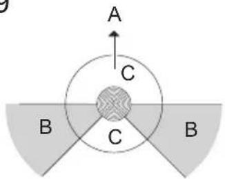 A C B C B
