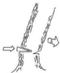 Diagram showing two elongated structures with arrows indicating direction, no text or symbols present