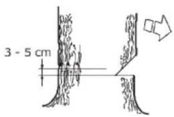 3 - 5 cm