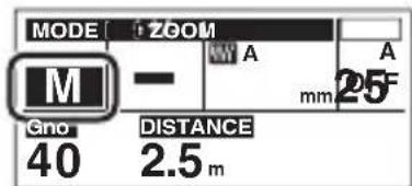 MODE ZOOM M - A mm 25F Gno 40 DISTANCE 2.5 m