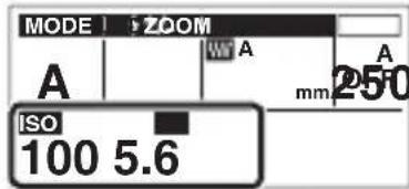 OLYMPUS FL‑900R - Opciones disponibles - 2