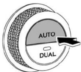 AUTO DUAL