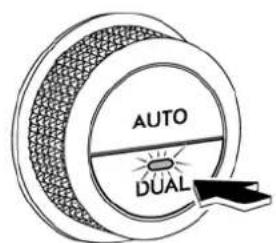 AUTO DUAL