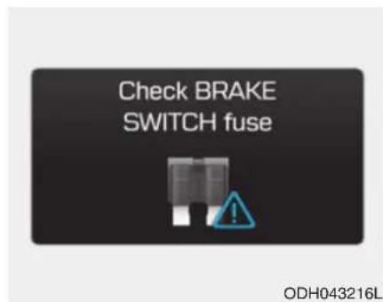 Check BRAKE SWITCH fuse ODH043216L