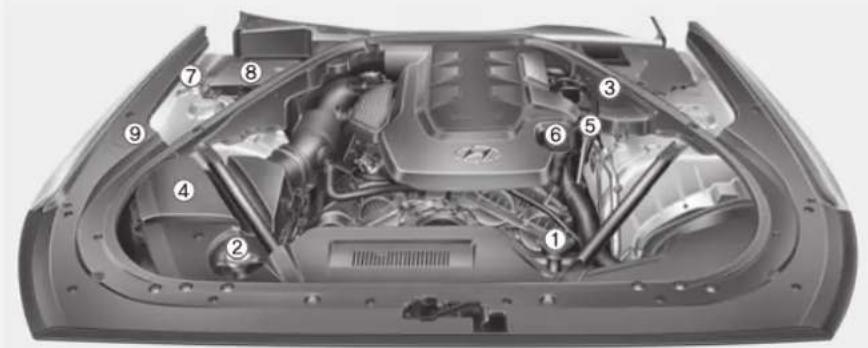 HYUNDAI Genesis (2015) - COMPARTIMENT-MOTEUR - 1