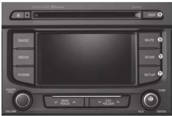 RADIO MEDIA PHONE POWER TUBE VOLUME MUTE SCAN SETUP TUNE SEEK TRACK CAT FOLDER FILE ENTER
