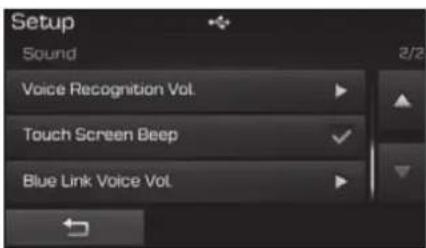 Setup Sound Voice Recognition Vol. Touch Screen Beep Blue Link Voice Vol.