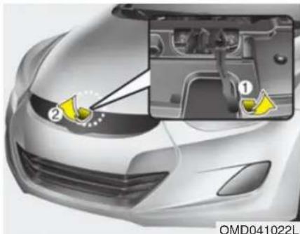 OMD041022L