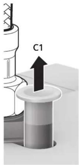 C1