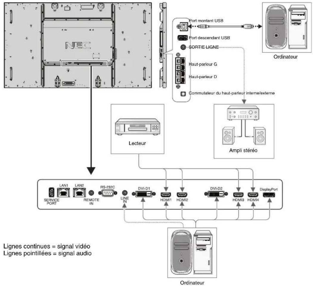 NEC MultiSync X841UHD-2 - Avant d'effectuer les branchements : - 1