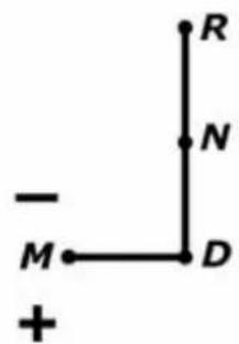 - M +