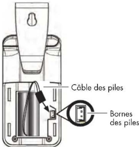 Câble des piles Bornes des piles