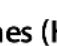 GIGASET C430H - Protection from anonymous callers - 17