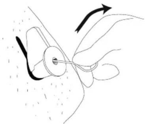 Diagram of a hand holding a small object with arrows indicating motion or force direction (no text or symbols)