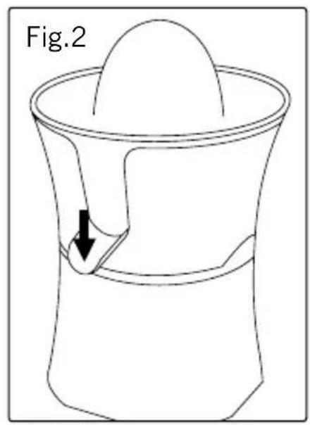 Fig.2