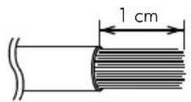 1 cm